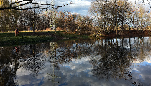 Teich im Pasinger Stadtpark