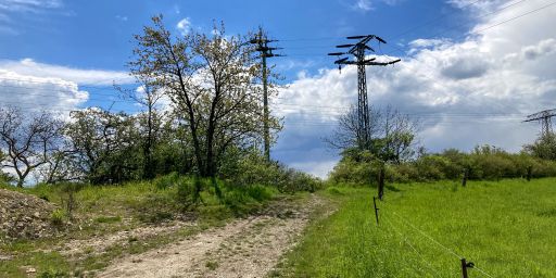 Landschaft bei Coppanz