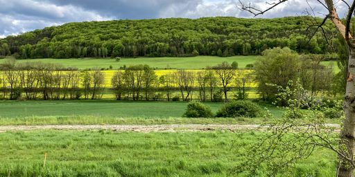 Blick über die Autobahntrasse ins Leutratal