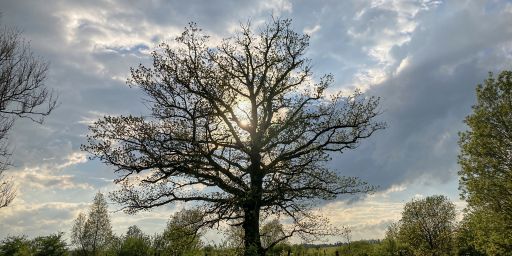 Vom Windknollen zum Landgrafen