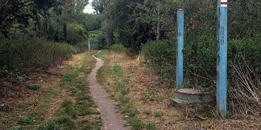 An der Zschampert, hinter Miltitz