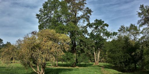 Hinter der JVA in Wachau-Nord