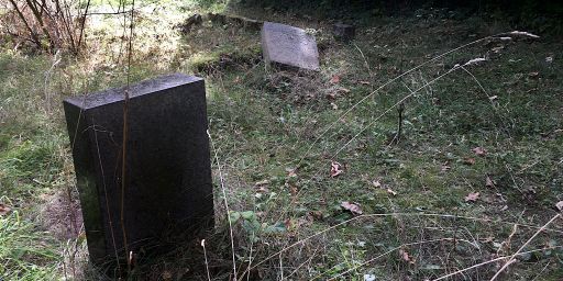 Verlassener Ort: Dölitzer Friedhof