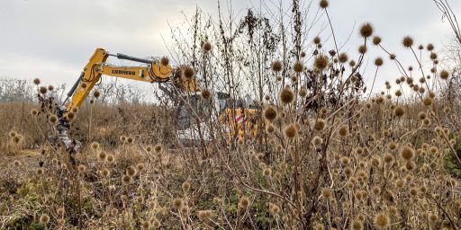 Bagger im Würmkanal