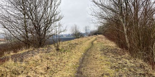 Weg auf dem alten Bahndamm