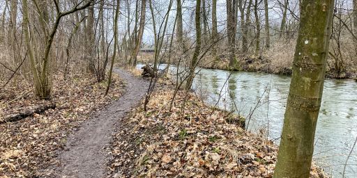 Am Garchinger Mühlbach