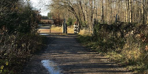 Im Forstenrieder Park