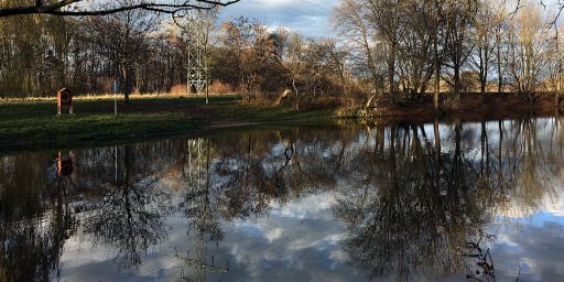 Teich im Pasinger Stadtpark