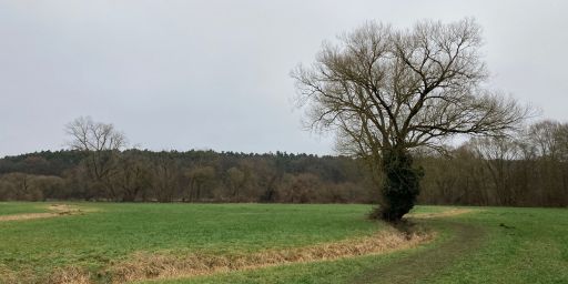 An der Rednitz